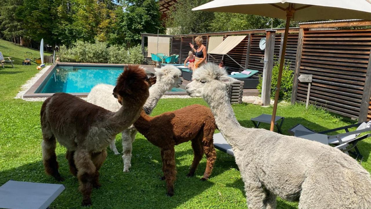 Dolomit Boutique Hotel La Villa  Esterno foto